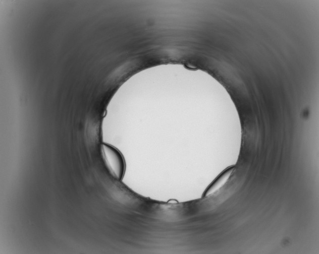 X0000100980188200807221242