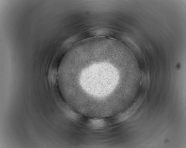 X0000100980189200807221242