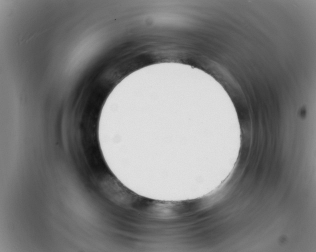 X0000100980190200807221242