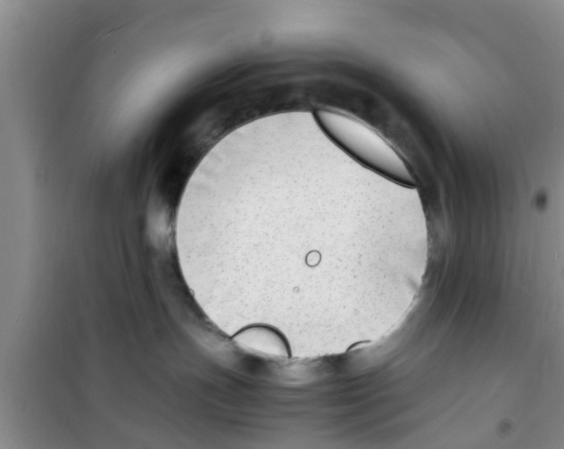 X0000100980191200807221242