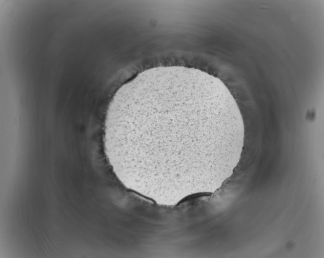 X0000100980192200807221242