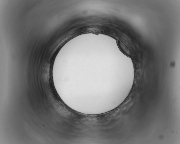 X0000100980194200807221241