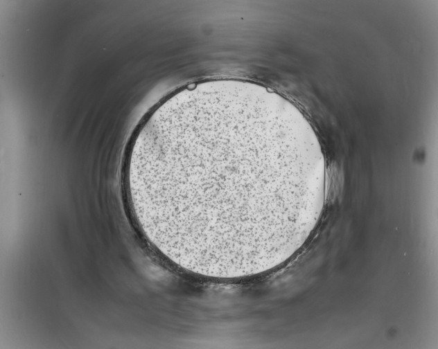 X0000100980195200807221241