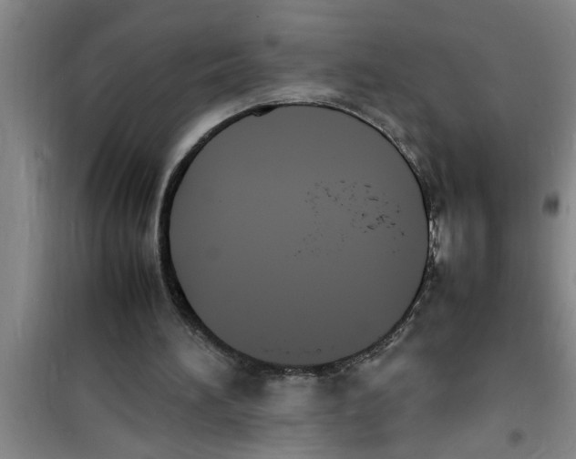 X0000100980196200807221241