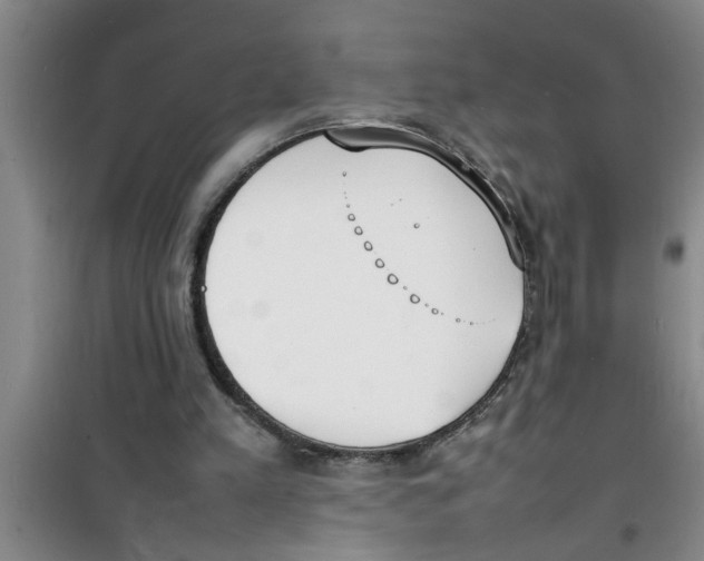 X0000100980197200807221241