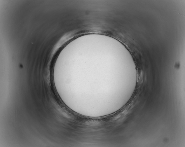 X0000100980198200807221241