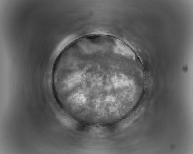 X0000100980199200807221241