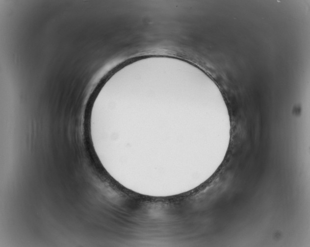 X0000100980200200807221241