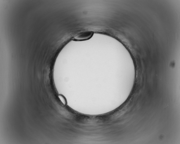 X0000100980201200807221241