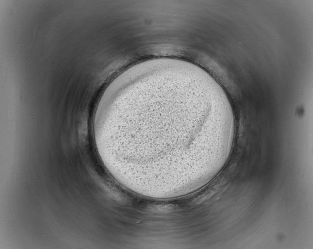 X0000100980202200807221241