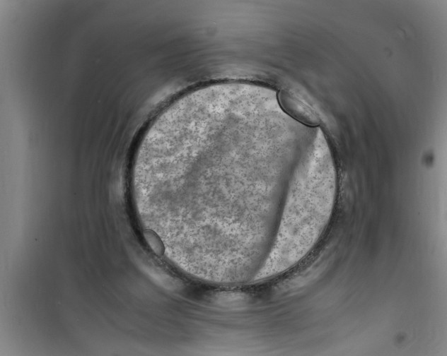 X0000100980203200807221241