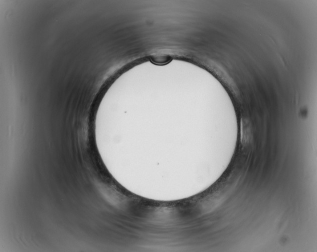 X0000100980204200807221241