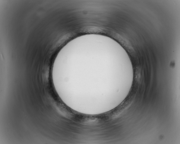 X0000100980206200807221241