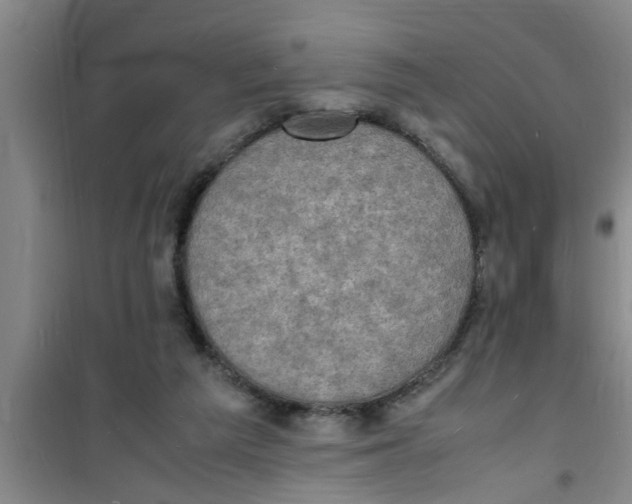 X0000100980209200807221241