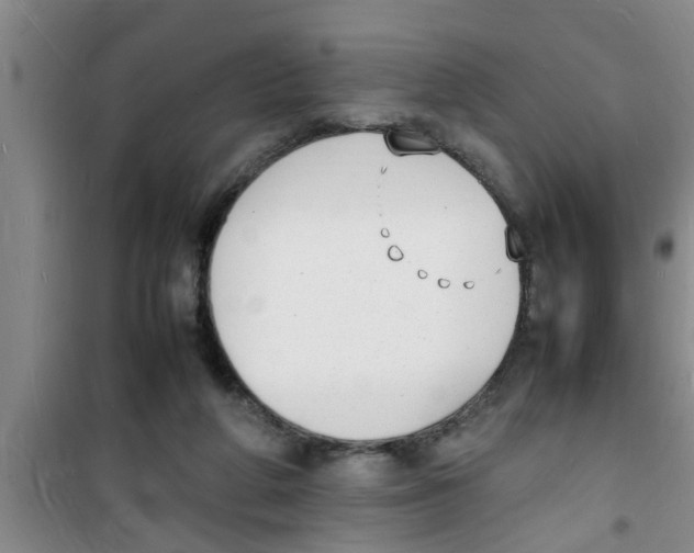 X0000100980210200807221241