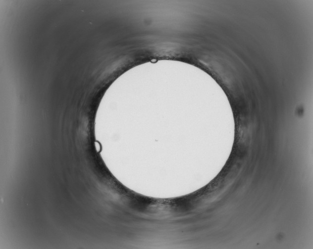 X0000100980211200807221241