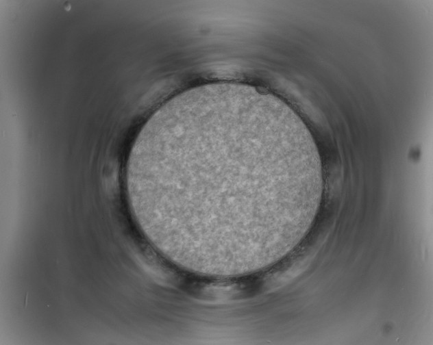 X0000100980213200807221241