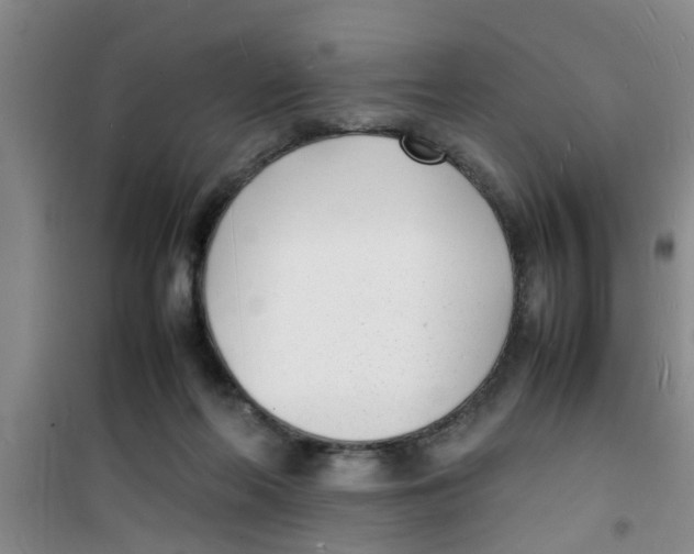 X0000100980214200807221241