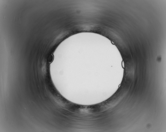 X0000100980216200807221241