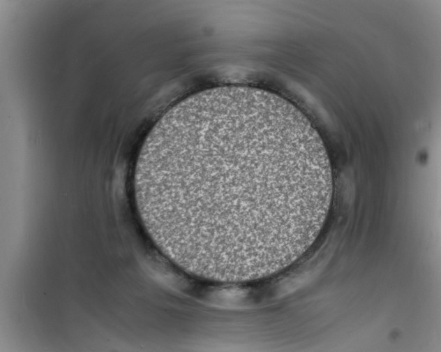 X0000100980217200807221241