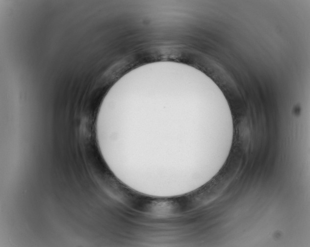 X0000100980218200807221241