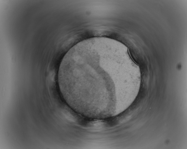 X0000100980219200807221241