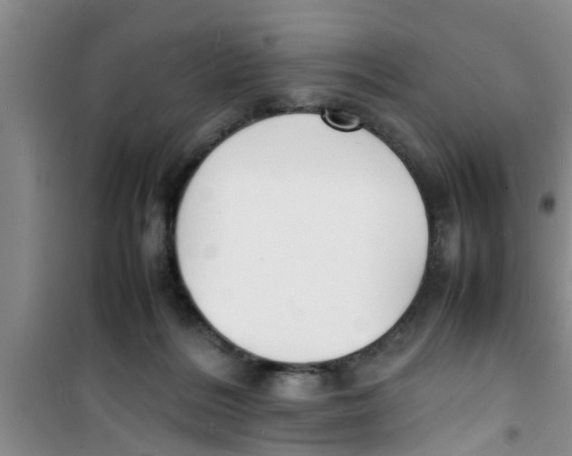 X0000100980220200807221241