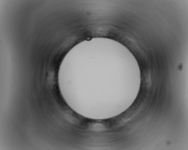 X0000100980224200807221240