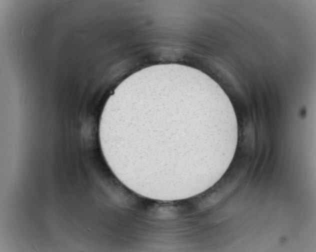 X0000100980228200807221240