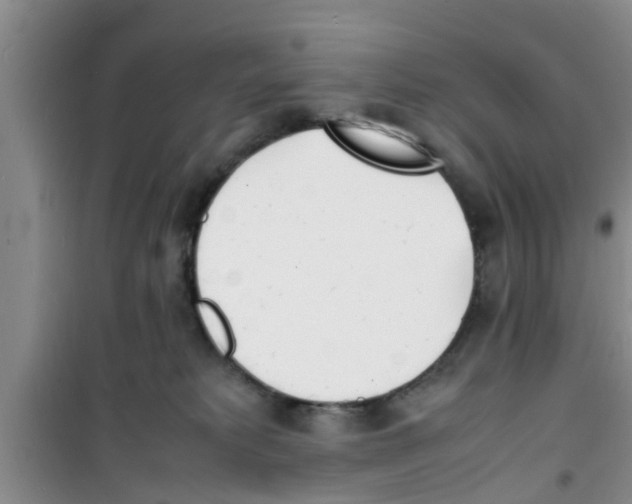 X0000100980229200807221240