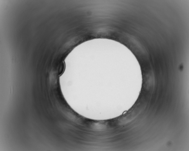 X0000100980232200807221240