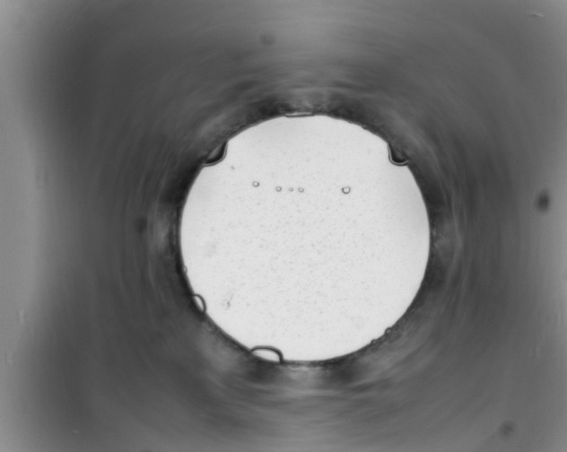 X0000100980233200807221240