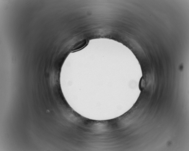 X0000100980236200807221240