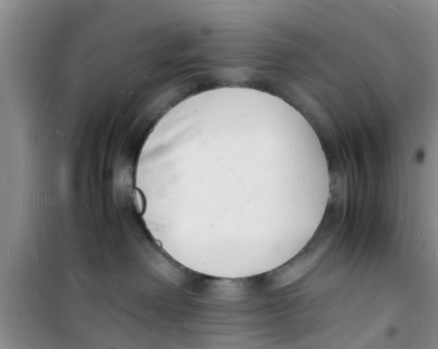 X0000100980238200807221240