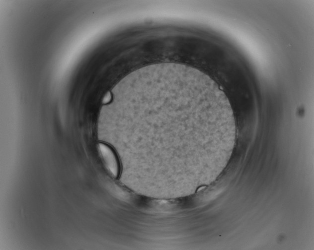 X0000100980239200807221240