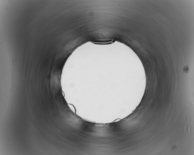 X0000100980240200807221240