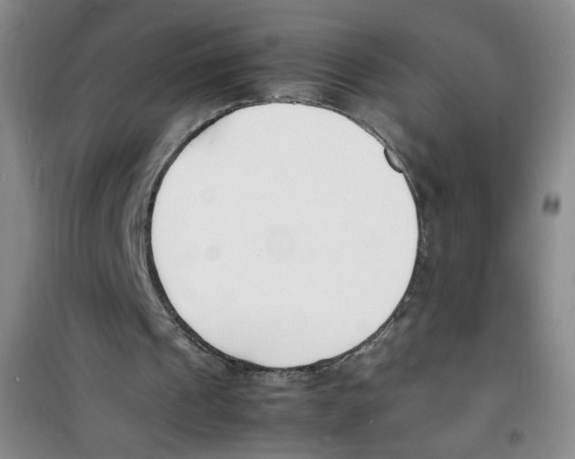 X0000100980241200807221240