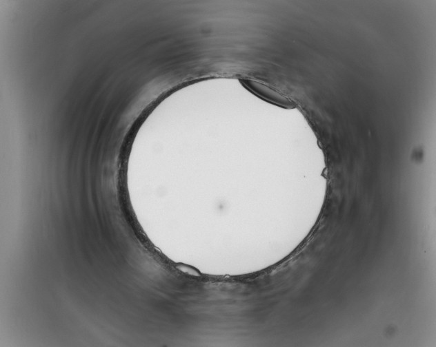 X0000100980242200807221240