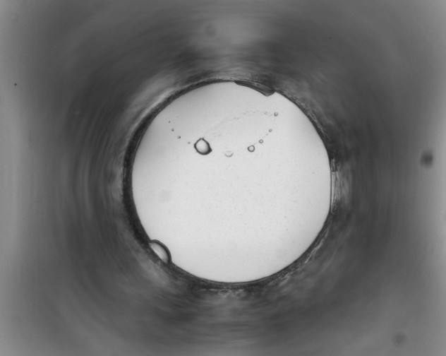 X0000100980243200807221240