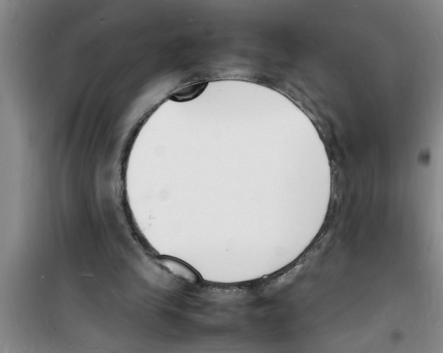 X0000100980245200807221240