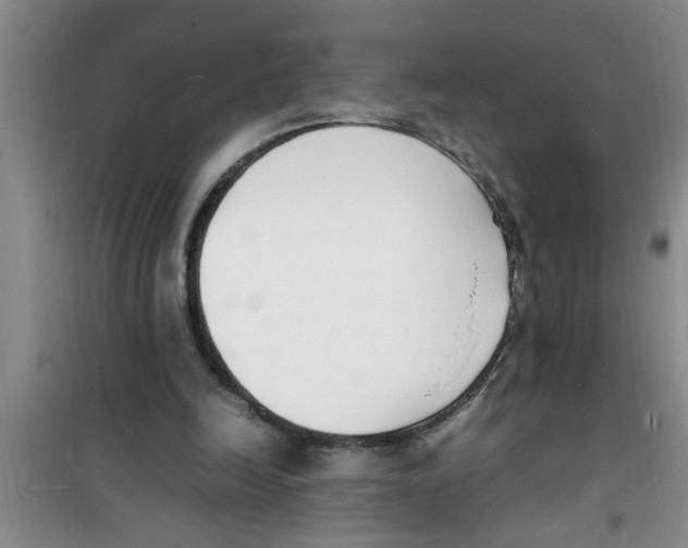 X0000100980246200807221240