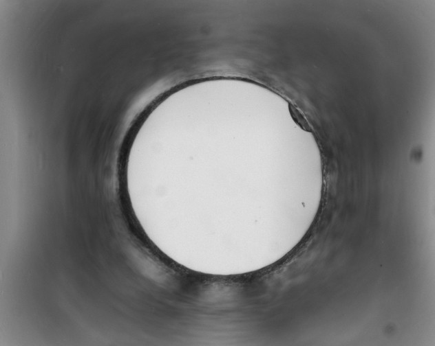 X0000100980248200807221240