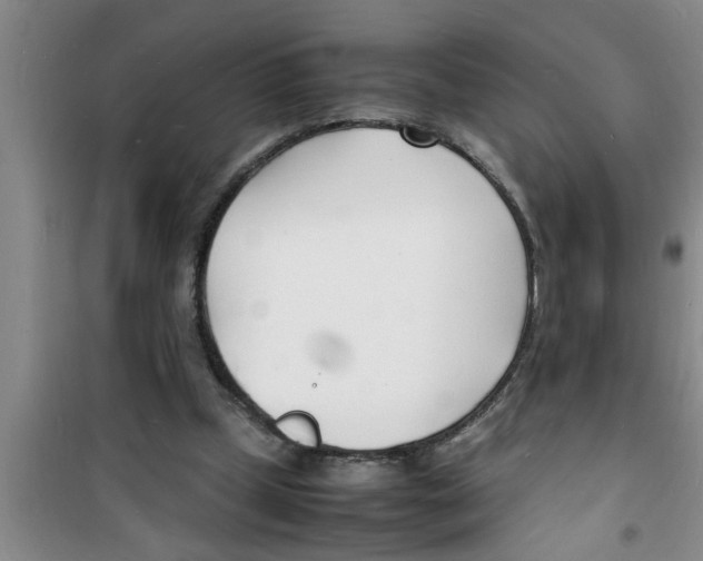 X0000100980249200807221240