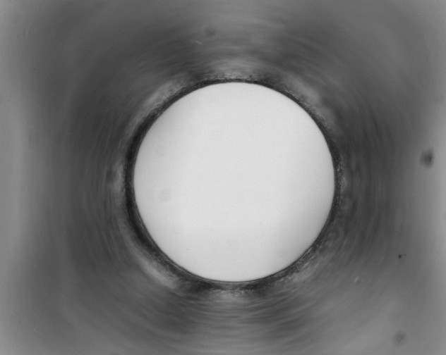 X0000100980250200807221240