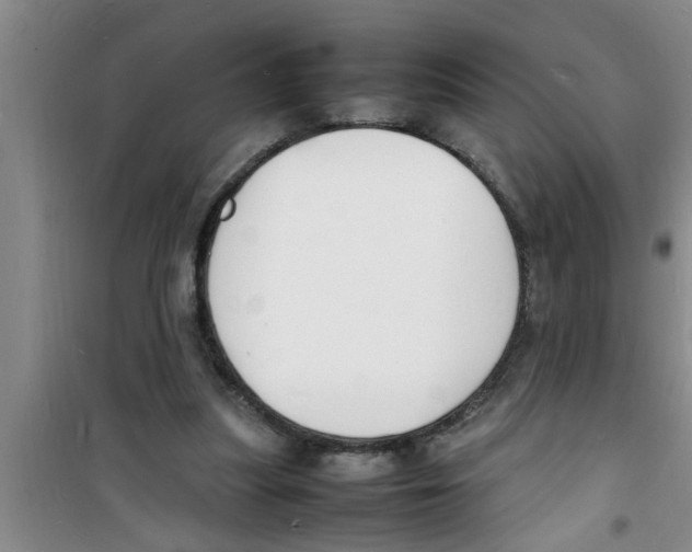 X0000100980251200807221240