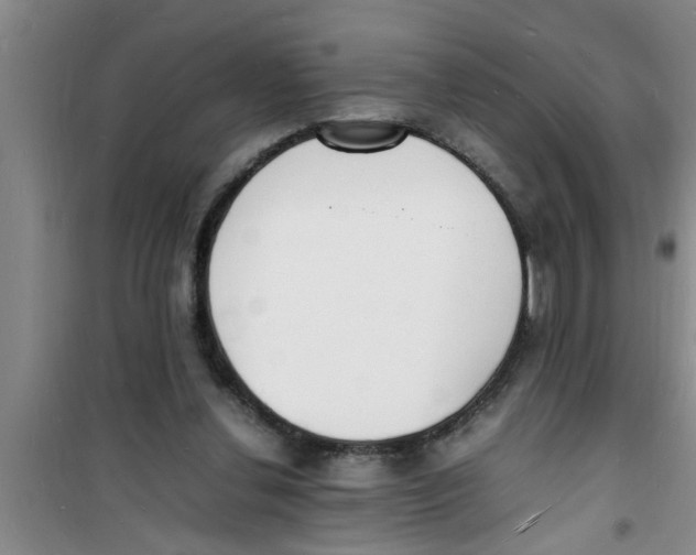 X0000100980252200807221240