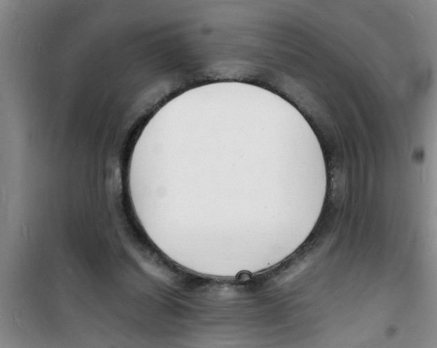 X0000100980254200807221240