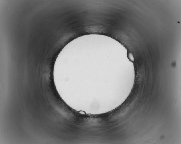 X0000100980255200807221240