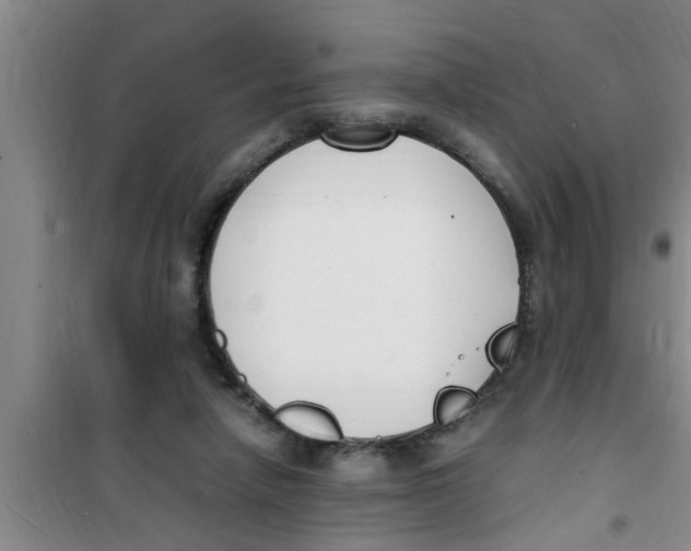 X0000100980258200807221240