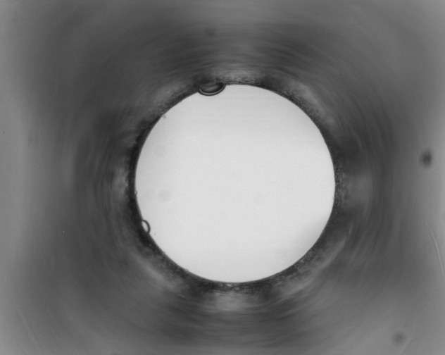 X0000100980259200807221240